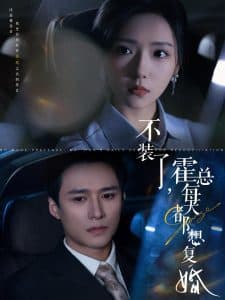 不装了霍总每天都想复婚 - 女频恋爱 (2024) 海报