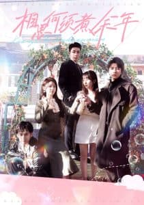 相思何须煮余年 - 现代都市 (2024) 海报