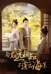 与君远相知,不道云海深 - 古装仙侠 (2024) 海报