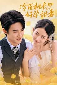冷面机长的好孕甜妻 - 女频恋爱 (2024) 海报