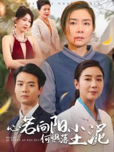 心若向阳何惧落尘泥 - 反转爽剧 (2025) 海报