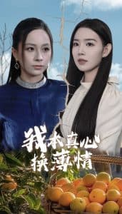 我本真心换薄情 - 现代都市 (2025) 海报