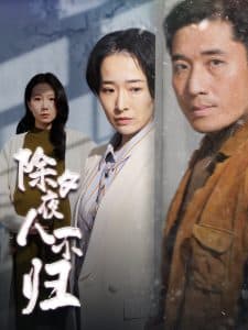 除夕夜人不归 - 现代都市 (2025) 海报