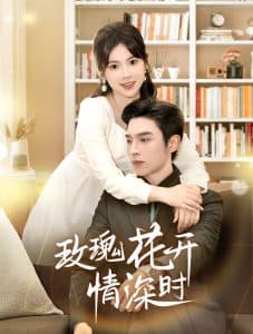 玫瑰花开情深时 - 女频恋爱 (2025) 海报