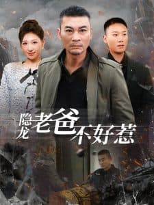 隐龙老爸不好惹 - 反转爽剧 (2025) 海报