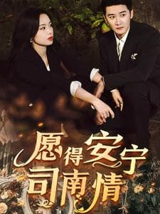 愿得安宁司南情 - 女频恋爱 (2025) 海报
