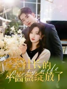 季社长的小蔷薇绽放了 - 女频恋爱 (2025) 海报