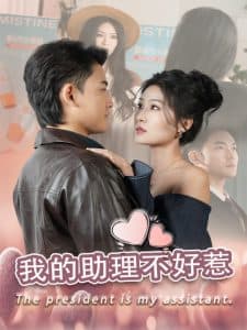 我的助理不好惹 - 女频恋爱 (2025) 海报