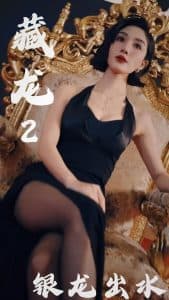 藏龙2银龙出水 - 现代都市 (2025) 海报