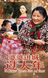 婆婆进城过大年 - 现代都市 (2025) 海报