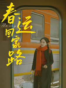 春运回家路 - 现代都市 (2025) 海报