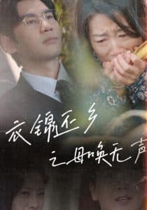 衣锦还乡之母唤无声 - 现代都市 (2025) 海报