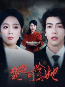 楚楚可怜的她 - 现代都市 (2025) 海报