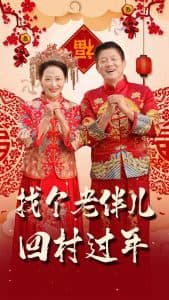 找个老伴儿回村过年 - 现代都市 (2025) 海报