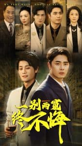 一别两宽终不悔 - 现代都市 (2025) 海报