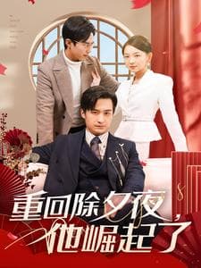 重回除夕夜他崛起了 - 反转爽剧 (2025) 海报