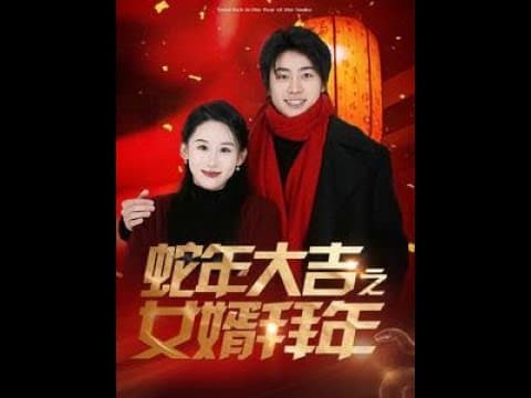 蛇年大吉之女婿拜年 - 现代都市 (2025) 海报