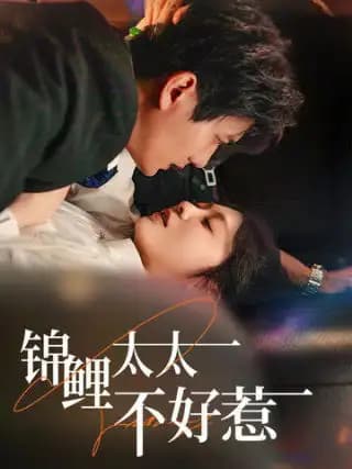锦鲤太太不好惹 - 女频恋爱 (2025) 海报