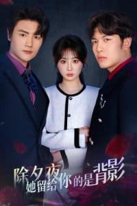 除夕夜她留给你的是背影 - 现代都市 (2025) 海报