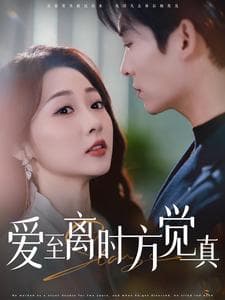 爱至离时方觉真 - 女频恋爱 (2025) 海报