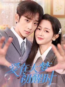 爱在大梦初醒时 - 女频恋爱 (2025) 海报