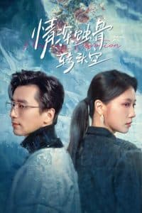 情深蚀骨转头空 - 现代都市 (2025) 海报