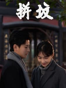 拼坟 - 现代都市 (2025) 海报