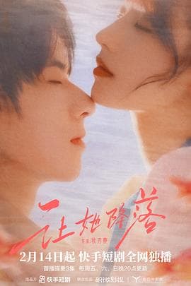 让她降落 - 国产剧 (2025) 海报