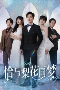 恰与梨花同梦 - 女频恋爱 (2025) 海报