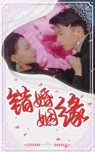 错嫁姻缘 - 女频恋爱 (2025) 海报