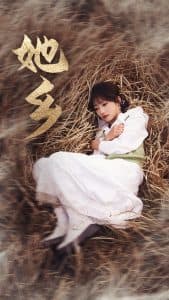 她乡 - 现代都市 (2025) 海报