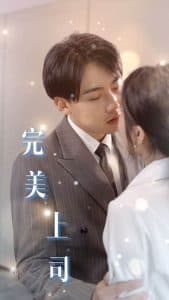 完美上司 - 现代都市 (2025) 海报