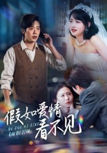 假如爱情看不见 - 女频恋爱 (2025) 海报