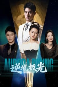 逆境极光 - 现代都市 (2025) 海报