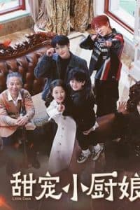 甜宠小厨娘 - 女频恋爱 (2025) 海报