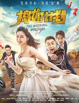 捣婚计划 - 喜剧片 (2018) 海报