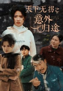 天下无拐之意外归途 - 现代都市 (2025) 海报