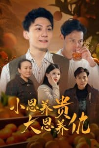 小恩养贵大恩养仇 - 现代都市 (2025) 海报