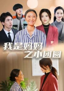 我是妈妈之小团圆 - 现代都市 (2025) 海报
