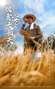 粮食安全大如天 - 现代都市 (2025) 海报