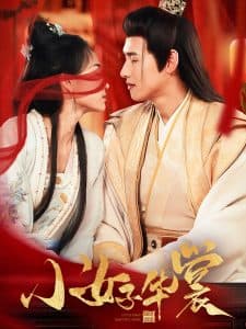 小女子华裳 - 古装仙侠 (2025) 海报