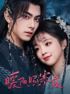 暖阳照寒夜 - 古装仙侠 (2025) 海报