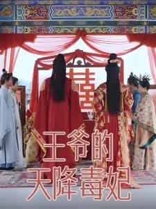 王爷的天降毒妃 - 年代穿越 (2025) 海报