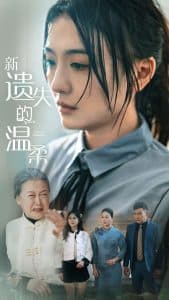 新遗失的温柔 - 现代都市 (2025) 海报