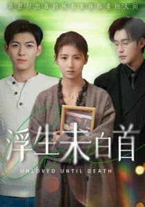 浮生未白首 - 女频恋爱 (2025) 海报