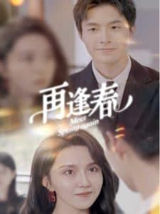 再逢春 - 现代都市 (2025) 海报
