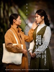 拥有一技之长,五十岁重绽光芒 - 现代都市 (2025) 海报