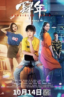 肆年 - 剧情片 (2020) 海报