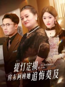 提灯定损,房东阿姨她追悔莫及 - 现代都市 (2025) 海报