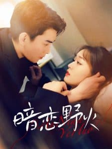 暗恋野火 - 女频恋爱 (2025) 海报